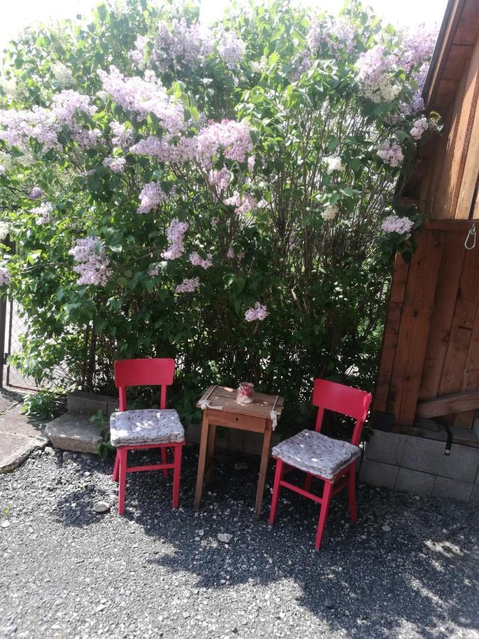 Apartamento Drevenica Zapadne Tatry S Kupacou Kadou A Krbom Žiar Exterior foto