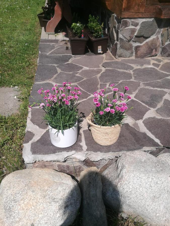 Apartamento Drevenica Zapadne Tatry S Kupacou Kadou A Krbom Žiar Exterior foto