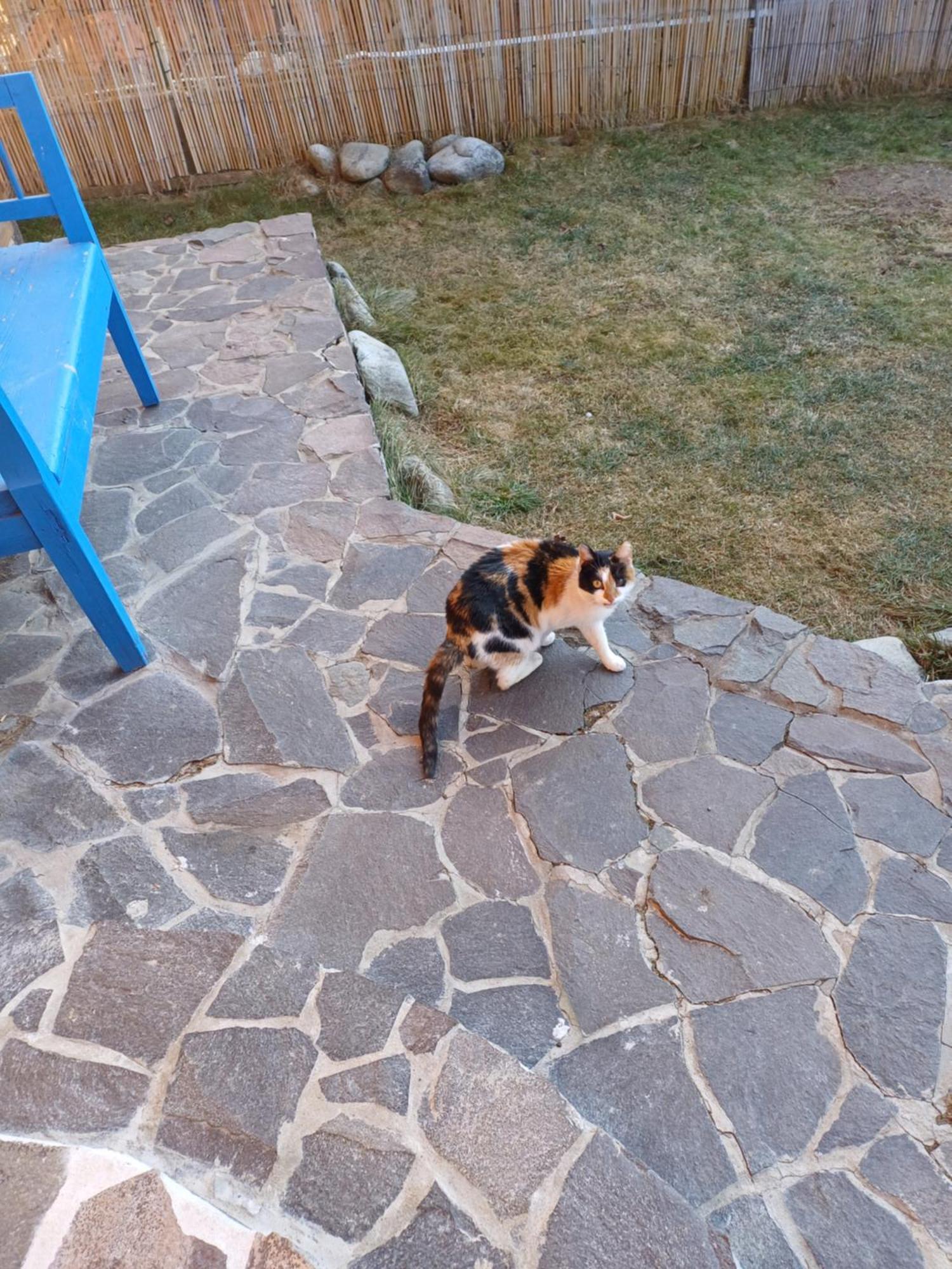 Apartamento Drevenica Zapadne Tatry S Kupacou Kadou A Krbom Žiar Exterior foto